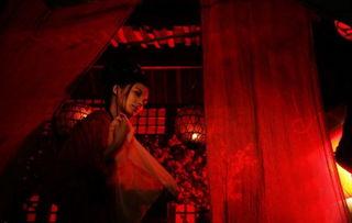 青楼名妓女在线视频,揭秘青楼名妓女在线视频背后的故事