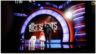 催眠直播在线视频观看,在线视频观看的神秘之旅