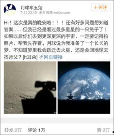 玉兔视频免费在线视频,免费畅享海量在线视频盛宴