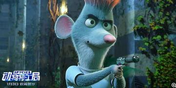 动物特工局在线视频,揭秘动物界的神秘特工行动