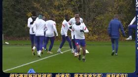 希奇在线视频播放,探索无限创意的视听盛宴