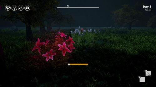 草草 碰在线视频,在线视频的轻松邂逅之旅