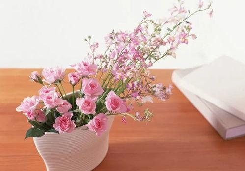 使劲插花心在线视频,在线视频带你领略花心之美