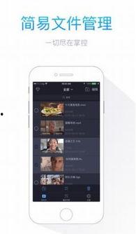 手机在线视频每天更新,手机在线视频精彩内容盘点