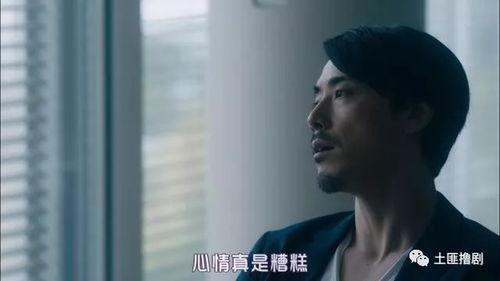 老司机岛国在线视频,揭秘在线视频背后的激情与奥秘