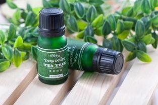 精油大师在线视频,揭秘精油疗法的神奇魅力