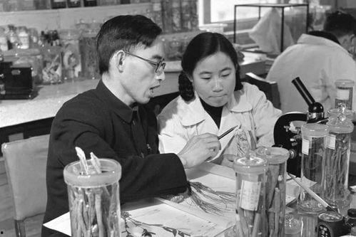 中医余洋老师在线视频,在线视频中的养生秘诀解析