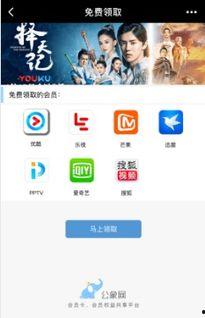 在线视频免费会员,在线视频平台的福利攻略