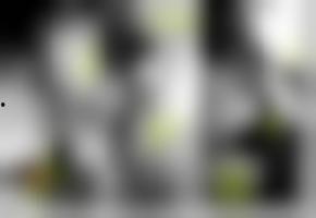 欧美亚洲国产综合在线视频,欧美亚洲国产综合在线视频大观