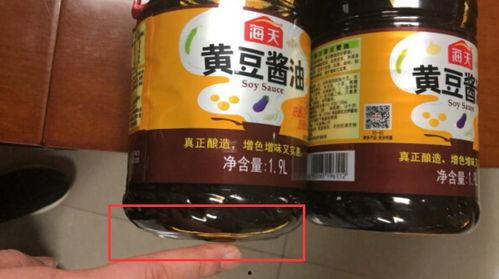 酱油桶动漫在线视频