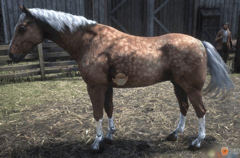 马在线视频免费下载,轻松获取海量精彩内容  第3张